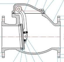 Swing Check Valve